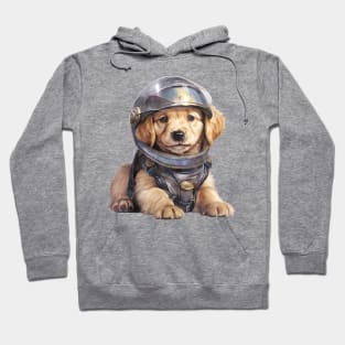 Golden Retriever Dog in Helmet Hoodie